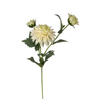 Arti Flora Dahlia Kunstbloem | Kleur: Natuurlijk Wit | Lengte ± 60 centimeter | 3 bloemkoppen per steel | Per kunstbloem