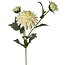 Dahlia Kunstbloem | Kleur: Natuurlijk Wit | Lengte ± 60 centimeter | 3 bloemkoppen per steel | Per stuk