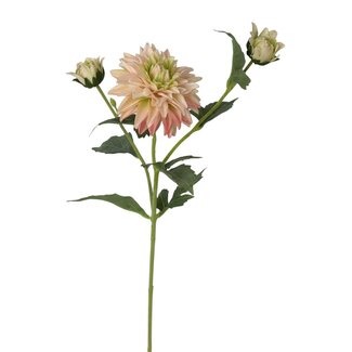 Arti Flora Dahlia Kunstbloem | Kleur: Lichtroze | Lengte ± 60 centimeter | 3 bloemkoppen per steel | Per kunstbloem
