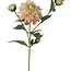 Dahlia Kunstbloem | Kleur: Lichtroze | Lengte ± 60 centimeter | 3 bloemkoppen per steel | Per stuk
