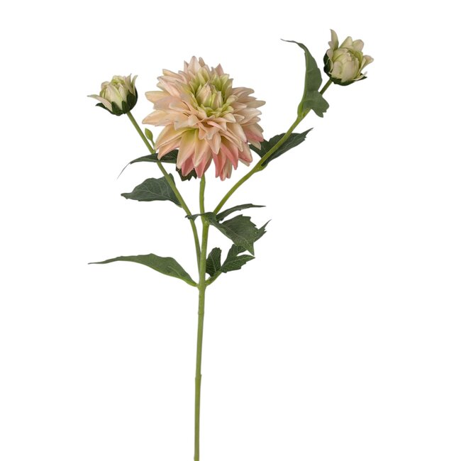 Dahlia Kunstbloem | Kleur: Lichtroze | Lengte ± 60 centimeter | 3 bloemkoppen per steel | Per kunstbloem