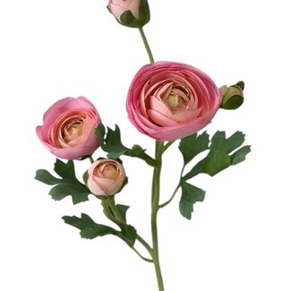 Arti Flora Ranonkel Kunstbloem | Kleur: Roze | Ranunculus kunstbloemen | Lengte ± 50 centimeter | 3 bloemkoppen per steel | Per stuk
