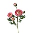 Ranonkel Kunstbloem | Kleur: Roze | Ranunculus kunstbloemen | Lengte ± 50 centimeter | 3 bloemkoppen per steel | Per kunstbloem