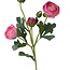 Ranonkel Kunstbloem | Kleur: Donkerroze | Ranunculus kunstbloemen | Lengte ± 50 centimeter | 3 bloemkoppen per steel | Per stuk