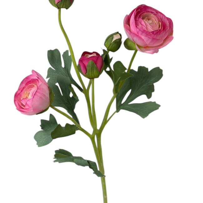 Ranonkel Kunstbloem | Kleur: Donkerroze | Ranunculus kunstbloemen | Lengte ± 50 centimeter | 3 bloemkoppen per steel | Per stuk