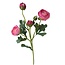 Ranonkel Kunstbloem | Kleur: Donkerroze | Ranunculus kunstbloemen | Lengte ± 50 centimeter | 3 bloemkoppen per steel | Per kunstbloem