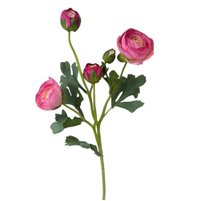 Ranonkel Kunstbloem | Kleur: Donkerroze | Ranunculus kunstbloemen | Lengte ± 50 centimeter | 3 bloemkoppen per steel | Per kunstbloem