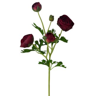 Arti Flora Renoncule Fleur artificielle | Couleur : Rouge | Ranunculus fleurs artificielles | Longueur ± 50 centimeter | 3 têtes de fleurs par tige | Par pièce