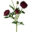 Ranonkel Kunstbloem | Kleur: Rood | Ranunculus kunstbloemen | Lengte ± 50 centimeter | 3 bloemkoppen per steel | Per stuk