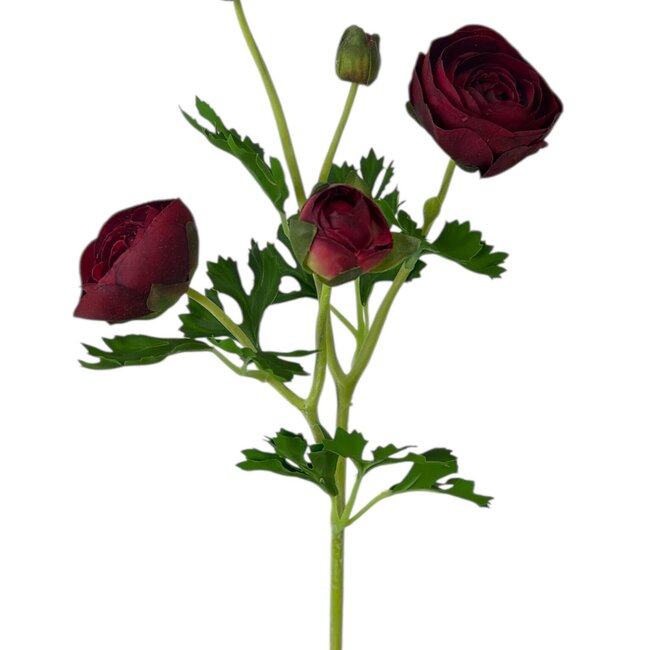Ranonkel Kunstbloem | Kleur: Rood | Ranunculus kunstbloemen | Lengte ± 50 centimeter | 3 bloemkoppen per steel | Per stuk