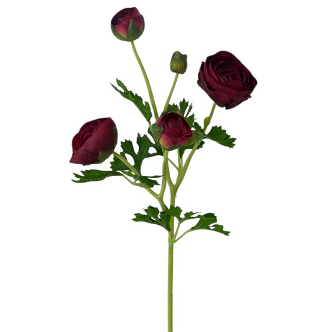 Ranunkel Kunstblume | Farbe: Rot | Ranunculus Kunstblumen | Länge ± 50 centimeter | 3 Blütenköpfe pro Stiel | Pro Stück