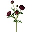 Ranunkel Kunstblume | Farbe: Rot | Ranunculus Kunstblumen | Länge ± 50 centimeter | 3 Blütenköpfe pro Stiel | Pro Stück