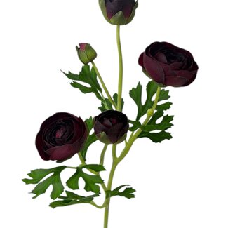 Arti Flora Ranonkel Kunstbloem | Kleur: Bordeauxrood | Ranunculus kunstbloemen | Lengte ± 50 centimeter | 3 bloemkoppen per steel | Per stuk