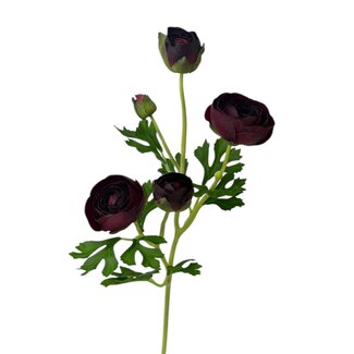 Arti Flora Renoncule fleur artificielle | Couleur: Bordeaux | Fleurs artificielles Ranunculus | Longueur ± 50 centimeter | 3 têtes de fleurs par tige | Par pièce