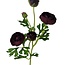 Ranonkel Kunstbloem | Kleur: Bordeauxrood | Ranunculus kunstbloemen | Lengte ± 50 centimeter | 3 bloemkoppen per steel | Per stuk