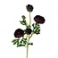 Ranonkel Kunstbloem | Kleur: Bordeauxrood | Ranunculus kunstbloemen | Lengte ± 50 centimeter | 3 bloemkoppen per steel | Per kunstbloem
