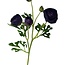 Ranonkel Kunstbloem | Kleur: Paars | Ranunculus kunstbloemen | Lengte ± 50 centimeter | 3 bloemkoppen per steel | Per stuk