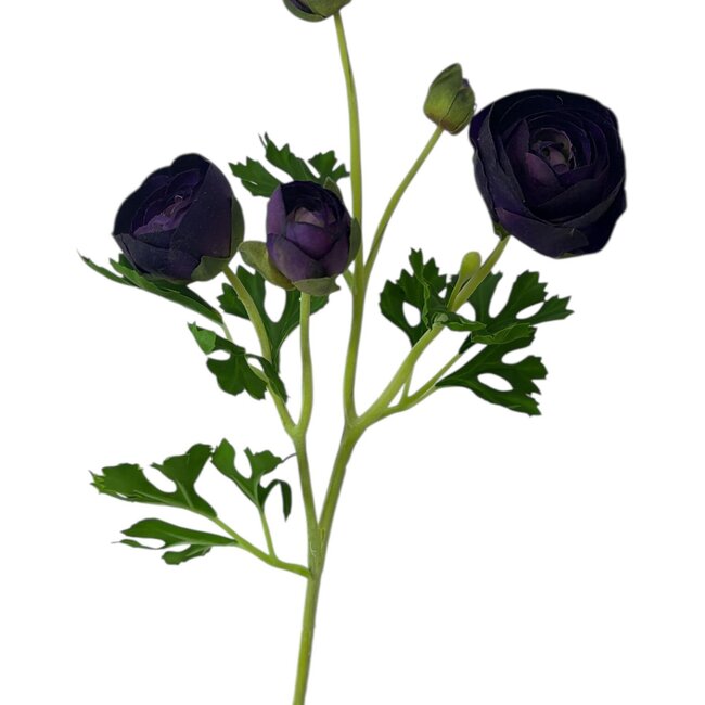 Ranonkel Kunstbloem | Kleur: Paars | Ranunculus kunstbloemen | Lengte ± 50 centimeter | 3 bloemkoppen per steel | Per stuk