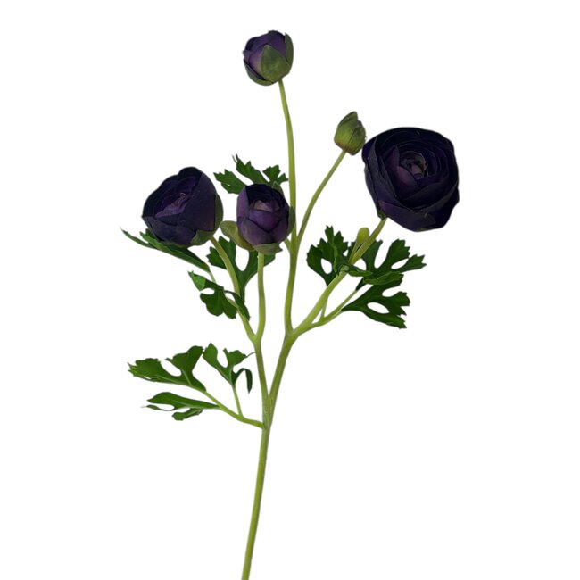 Ranonkel Kunstbloem | Kleur: Paars | Ranunculus kunstbloemen | Lengte ± 50 centimeter | 3 bloemkoppen per steel | Per kunstbloem