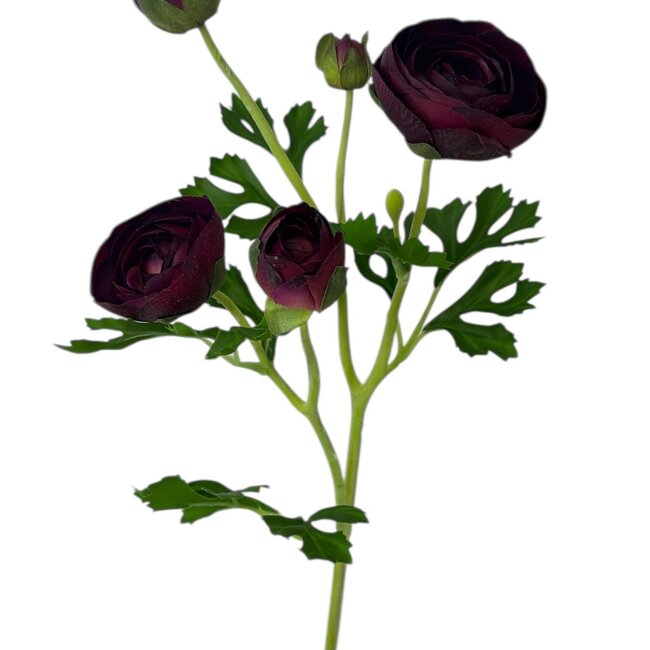Ranonkel Kunstbloem | Kleur: Donkerpaars | Ranunculus kunstbloemen | Lengte ± 50 centimeter | 3 bloemkoppen per steel | Per stuk
