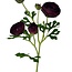 Ranonkel Kunstbloem | Kleur: Donkerpaars | Ranunculus kunstbloemen | Lengte ± 50 centimeter | 3 bloemkoppen per steel | Per stuk