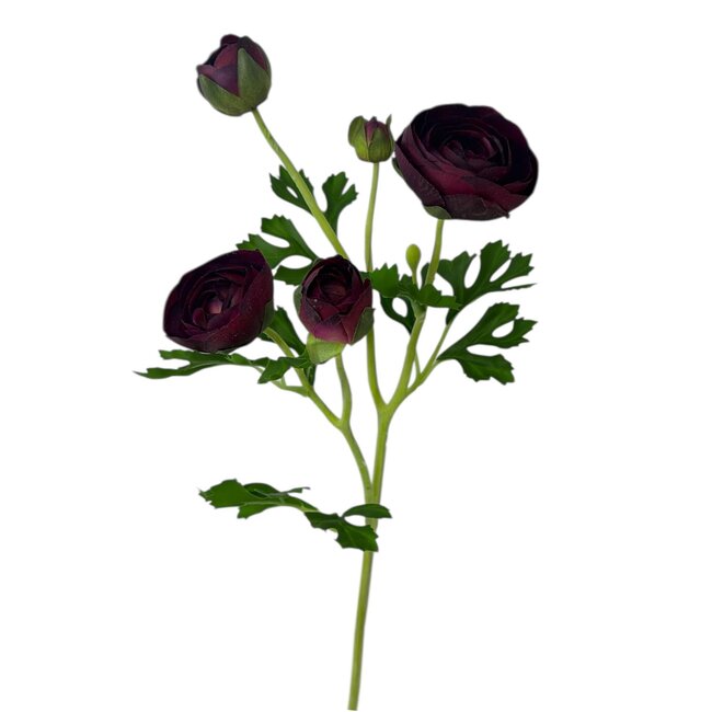 Ranonkel Kunstbloem | Kleur: Donkerpaars | Ranunculus kunstbloemen | Lengte ± 50 centimeter | 3 bloemkoppen per steel | Per kunstbloem