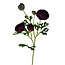 Ranonkel Kunstbloem | Kleur: Donkerpaars | Ranunculus kunstbloemen | Lengte ± 50 centimeter | 3 bloemkoppen per steel | Per kunstbloem