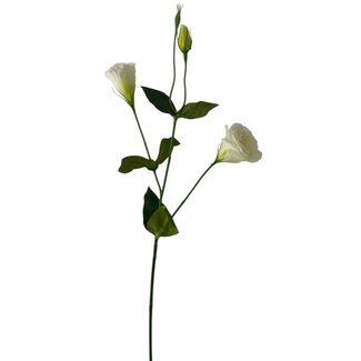 Arti Flora Lisianthus Kunstbloem | Kleur: Natuurlijk Wit | Eustoma kunstbloemen | Lengte ± 65 centimeter | Per kunstbloem