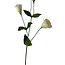 Lisianthus Kunstbloem | Kleur: Natuurlijk Wit | Eustoma kunstbloemen | Lengte ± 65 centimeter | Per stuk