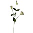 Lisianthus Kunstbloem | Kleur: Natuurlijk Wit | Eustoma kunstbloemen | Lengte ± 65 centimeter | Per kunstbloem