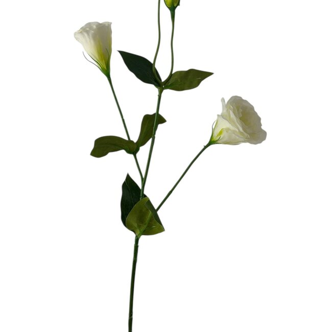 Lisianthus Kunstbloem | Kleur: Natuurlijk Wit | Eustoma kunstbloemen | Lengte ± 65 centimeter | Per stuk
