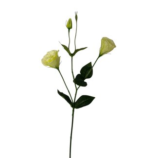 Arti Flora Lisianthus Kunstbloem | Kleur: Groen | Eustoma kunstbloemen | Lengte ± 65 centimeter | Per kunstbloem