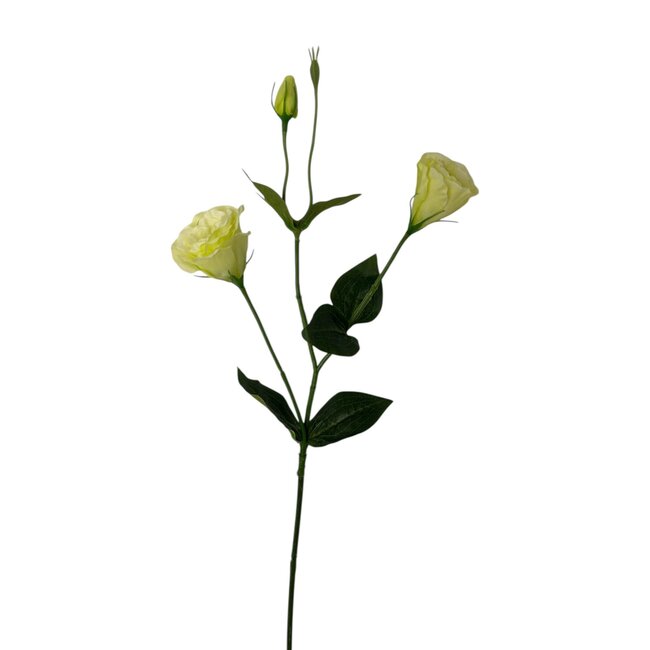 Lisianthus Kunstbloem | Kleur: Groen | Eustoma kunstbloemen | Lengte ± 65 centimeter | Per kunstbloem