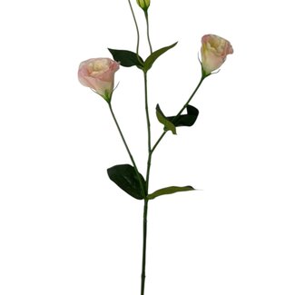 Arti Flora Lisianthus Kunstbloem | Kleur: Roze | Eustoma kunstbloemen | Lengte ± 65 centimeter | Per stuk