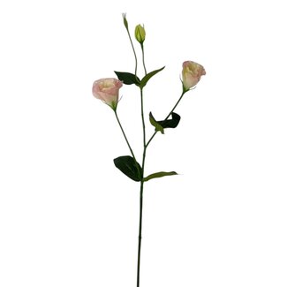 Arti Flora Lisianthus Kunstbloem | Kleur: Roze | Eustoma kunstbloemen | Lengte ± 65 centimeter | Per kunstbloem