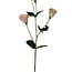 Arti Flora Lisianthus Kunstbloem | Kleur: Roze | Eustoma kunstbloemen | Lengte ± 65 centimeter | Per stuk