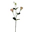 Lisianthus Kunstbloem | Kleur: Roze | Eustoma kunstbloemen | Lengte ± 65 centimeter | Per kunstbloem