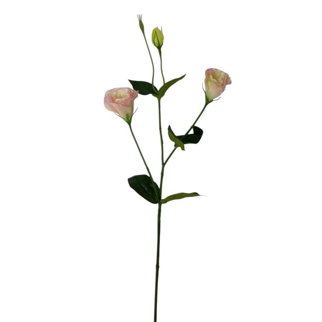 Lisianthus Kunstbloem | Kleur: Roze | Eustoma kunstbloemen | Lengte ± 65 centimeter | Per kunstbloem