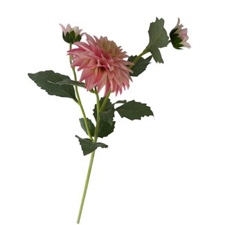 Arti Flora Dahlia Kunstbloem | Kleur: Roze | Lengte ± 60 centimeter | 3 bloemkoppen per steel | Per kunstbloem