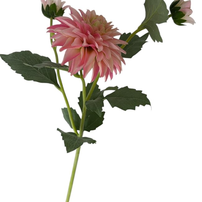 Dahlia Kunstbloem | Kleur: Roze | Lengte ± 60 centimeter | 3 bloemkoppen per steel | Per stuk