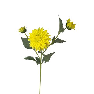 Arti Flora Dahlia Artificial flower | Colour: Yellow | Length ± 60 centimetre | 3 flower heads per stem | Per piece