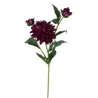 Arti Flora Dahlia Kunstbloem | Kleur: Fuchsia | Lengte ± 60 centimeter | 3 bloemkoppen per steel | Per kunstbloem