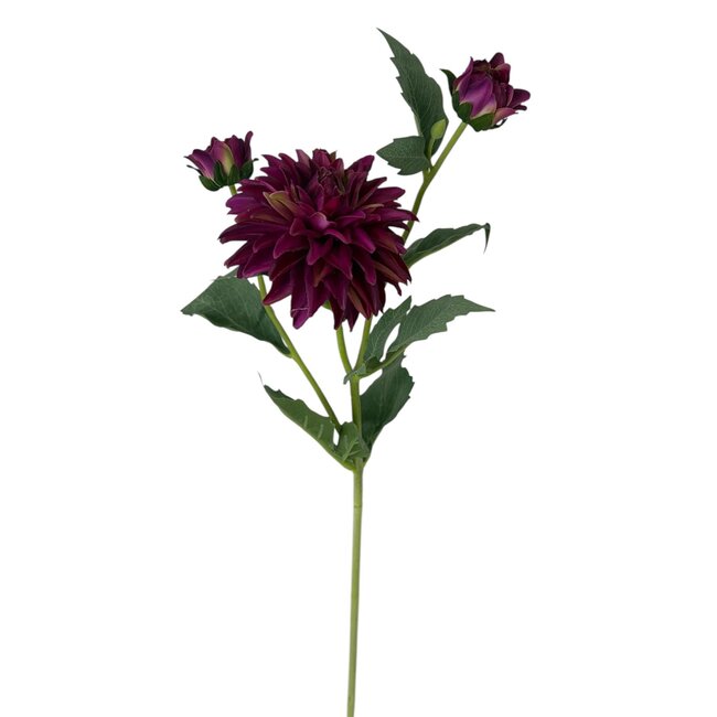 Dahlia Artificial Flower | Colour: Fuchsia | Length ± 60 centimetre | 3 flower heads per stem | Per piece
