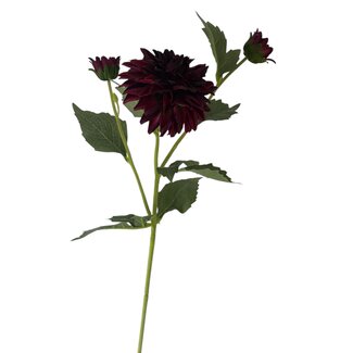 Arti Flora Dahlia Kunstbloem | Kleur: Bordeauxrood | Lengte ± 60 centimeter | 3 bloemkoppen per steel | Per kunstbloem
