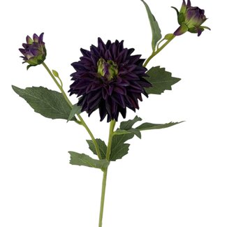 Arti Flora Dahlia Kunstbloem | Kleur: Paars | Lengte ± 60 centimeter | 3 bloemkoppen per steel | Per stuk
