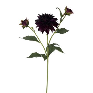 Arti Flora Dahlia Kunstbloem | Kleur: Donkerpaars | Lengte ± 60 centimeter | 3 bloemkoppen per steel | Per kunstbloem
