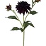 Dahlia Kunstbloem | Kleur: Donkerpaars | Lengte ± 60 centimeter | 3 bloemkoppen per steel | Per stuk
