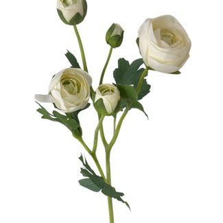 Arti Flora Ranonkel Kunstbloem | Kleur: Natuurlijk Wit | Ranunculus kunstbloemen | Lengte ± 50 centimeter | 3 bloemkoppen per steel | Per stuk
