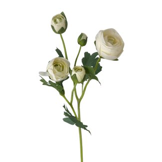 Arti Flora Renoncule Fleur artificielle | Couleur: Blanc naturel | Renoncules artificielles | Longueur ± 50 centimeter | 3 têtes de fleur par tige | Par pièce