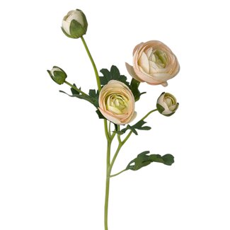 Arti Flora Ranonkel Kunstbloem | Kleur: Groen Wit | Ranunculus kunstbloemen | Lengte ± 50 centimeter | 3 bloemkoppen per steel | Per kunstbloem